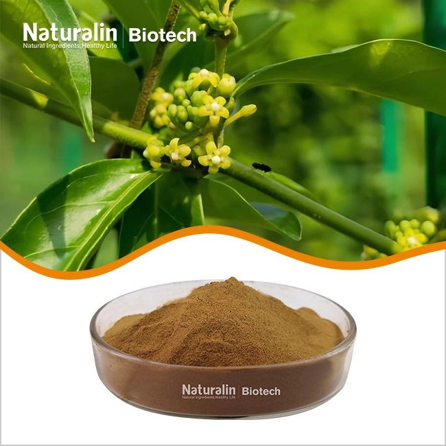 Gymnema Extract Powder